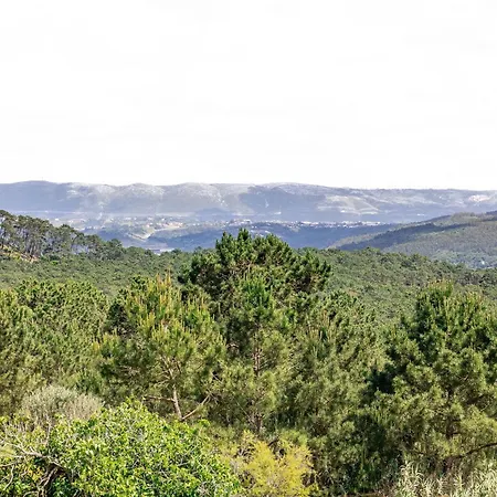 Ocean Sunset Nazare- By Sch *