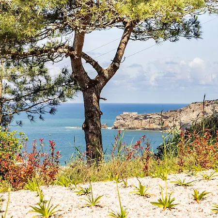 Apartment Ocean Sunset Nazare- By Sch Nazare