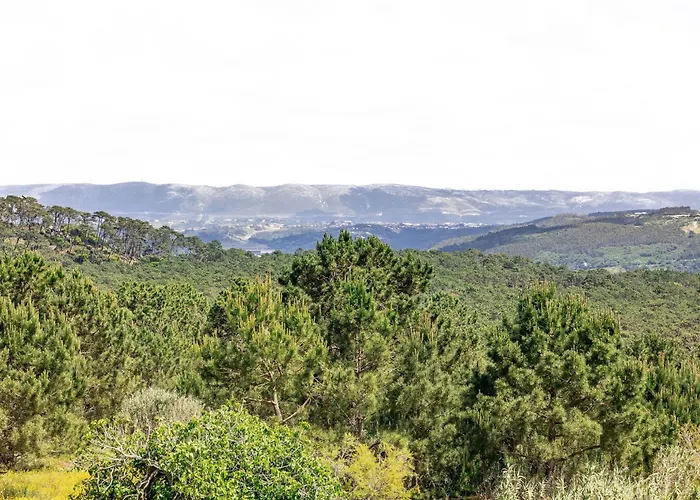 Ocean Sunset Nazare- By Sch *